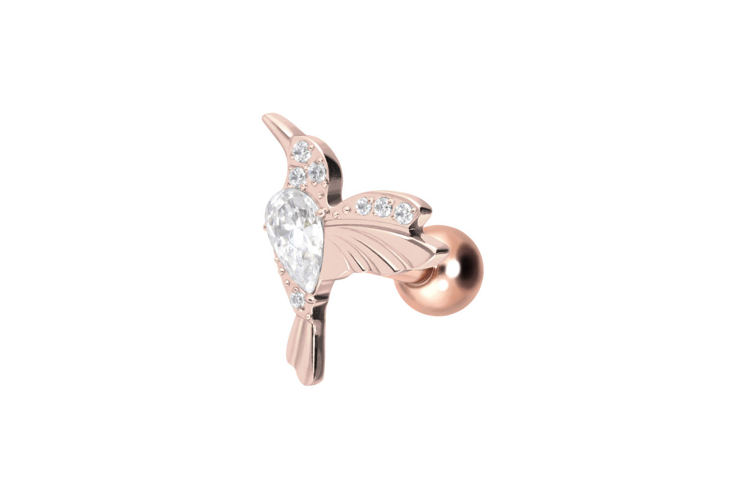 Titan Ohrpiercing mit Innengewinde KOLIBRI